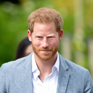 Le prince Harry se déplace à La Haye.