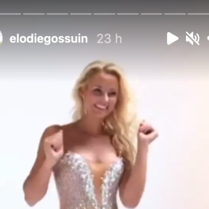 Elodie Gossuin nostalgique de son règne de Miss ? Elle compare avec humour sa vie d'avant avec sa vie actuelle - Instagram