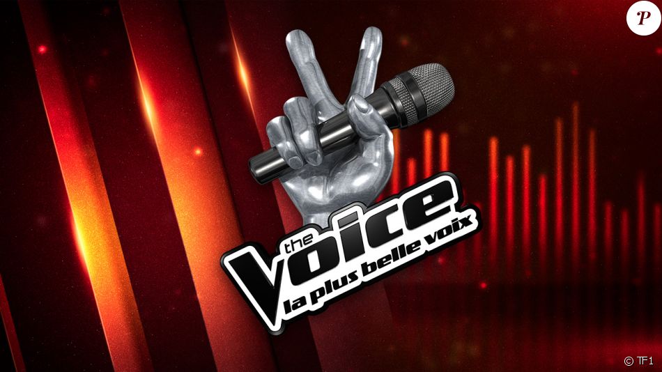 "The Voice", le logo.