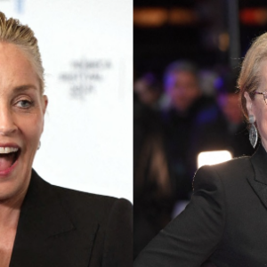 Les fans de Meryl Streep sont en colère contre Sharon Stone. L'actrice a tenu des propos jugés dénigrants contre sa consoeur.