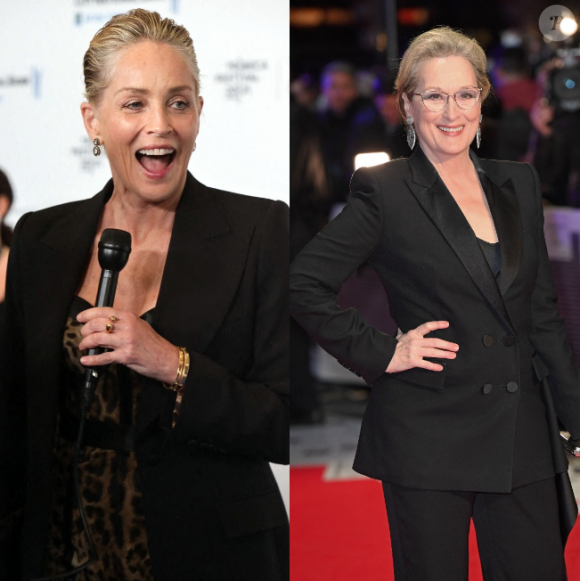 Les fans de Meryl Streep sont en colère contre Sharon Stone. L'actrice a tenu des propos jugés dénigrants contre sa consoeur.