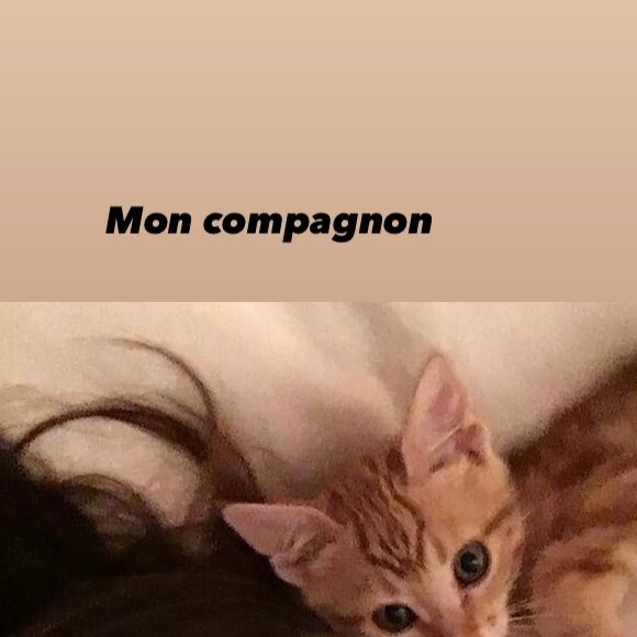 Lolita Séchan et son chat Bobby sur Instagram.