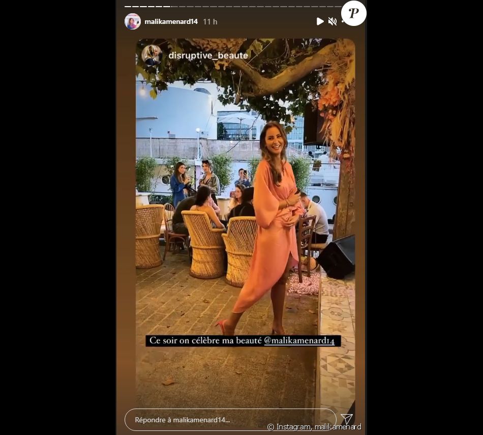 Malika Menard fête son anniversaire à Paris avec ses amies Miss France - Instagram