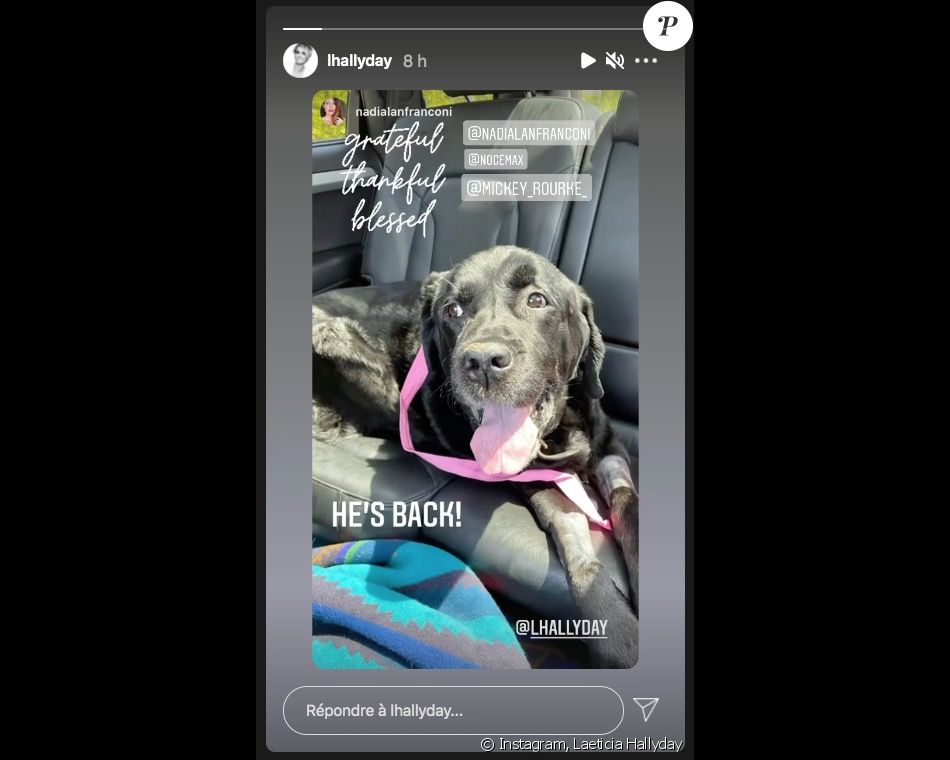 Santos, le chien de Johnny Hallyday, de retour à la maison. Le 21 juillet 2021.