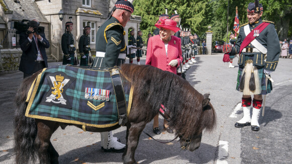 Elizabeth II - Premier été à Balmoral sans Philip : elle garde le sourire, grâce à un drôle de poney !