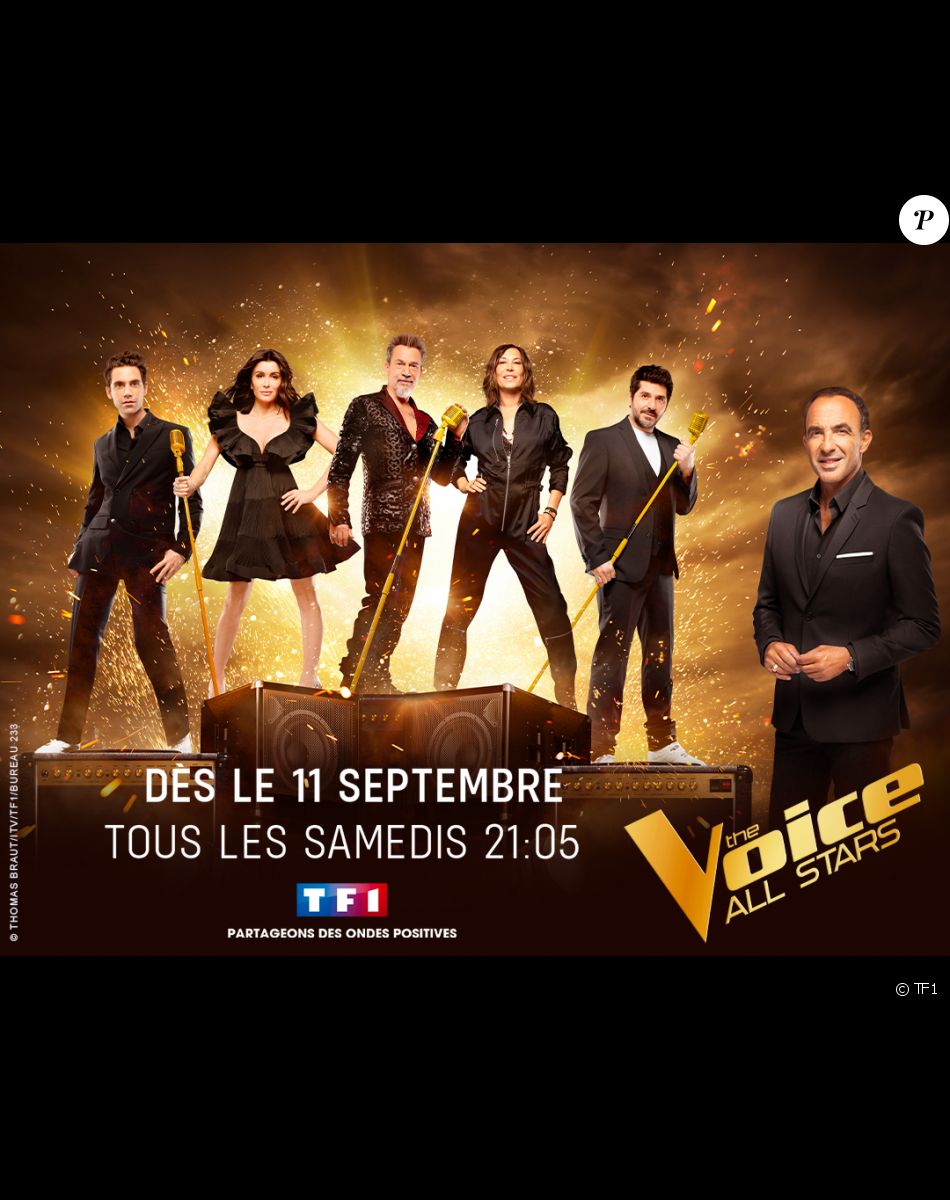 Photo officielle de la saison All Stars de "The Voice"