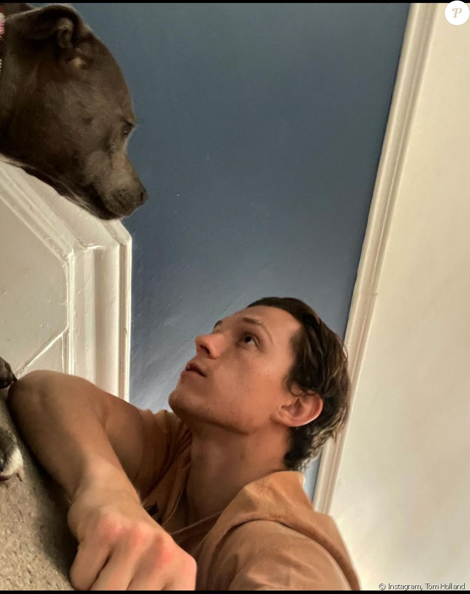 Tom Holland sur Instagram. Le 29 juillet 2021.