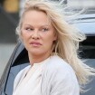 Pamela Anderson divorce : fin de son mariage avec Dan Hayhurst... après 13 mois seulement !