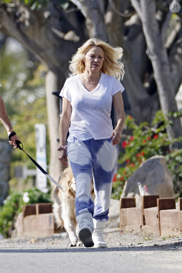 Pamela Anderson ne porte plus son alliance lors d'une balade avec son chien à Malibu le 14 janvier 2022. Elle semble soucieuse et a confié la laisse à son assistant. 