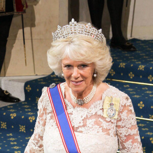 Camilla Parker Bowles, la duchesse de Cornouailles - Ceremonie d'ouverture du Parlement a Londres, le 8 mai 2013.