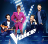 Amel Bent, Vianney, Florent Pagny et Marc Lavoine sont les coachs de la prochaine saison de "The Voice"