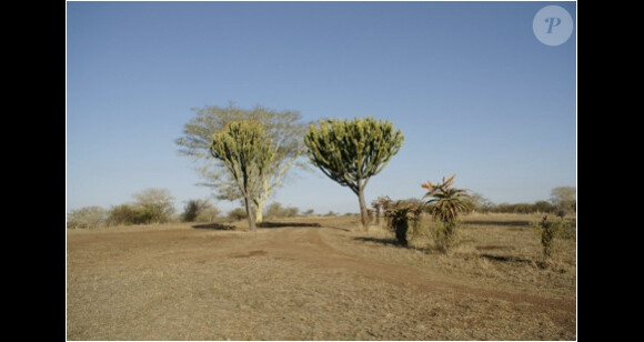 Image de la réserve naturelle africaine