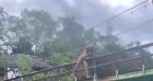 Yannick Noah passe des vacances avec Joalukas et Eleejah en Jamaïque.