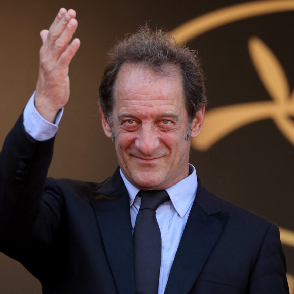 Vincent Lindon - Montée des marches du film "Rodin" lors du 70ème Festival International du Film de Cannes. Le 24 mai 2017. © Borde-Jacovides-Moreau / Bestimage 