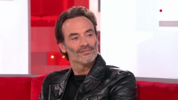 Anthony Delon dans Vivement Dimanche, sur France 2, évoque son père Alain Delon