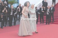 Cannes 2022 : Andie MacDowell assume ses cheveux gris, Helen Mirren glamour et changée