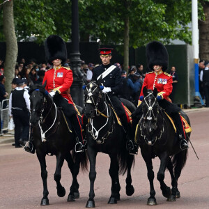 Illustration - Les membres de la famille royale lors de la parade militaire "Trooping the Colour" dans le cadre de la célébration du jubilé de platine (70 ans de règne) de la reine Elizabeth II à Londres, le 2 juin 2022.