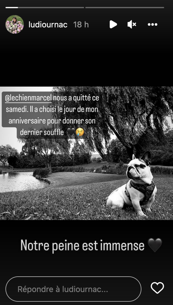 Laurent Ournac et sa femme Ludivine ont annoncé la mort de leur chien Marcel - Instagram