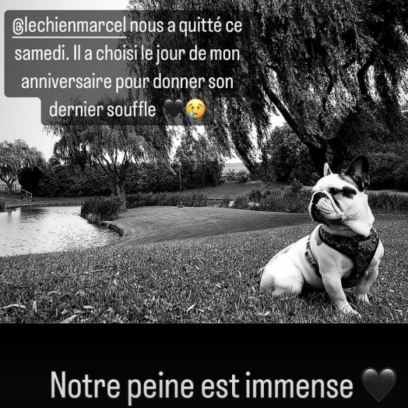 Laurent Ournac et sa femme Ludivine ont annoncé la mort de leur chien Marcel - Instagram
