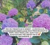 La story publiée par Alizée sur Instagram dimanche 12 juin 2022.