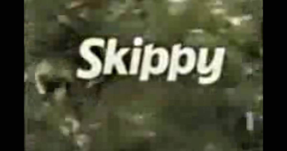 Générique de Skippy le kangourou Purepeople