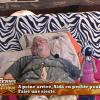 A peine rentré à la Ferme, Aldo recommence à faire ce qu'il fait de mieux : dormir ! 