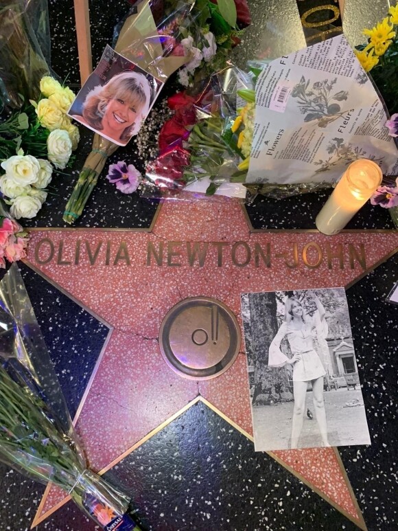 L'actrice Olivia Newton-John, star de la comédie musicale "Grease", est morte à l'âge de 73 ans, des suites d'un cancer du sein.