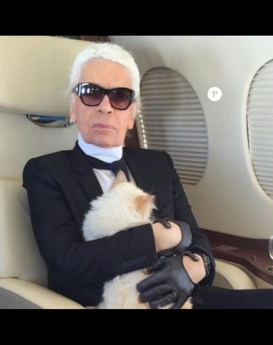 Karl Lagerfeld et sa chatte, Choupette.