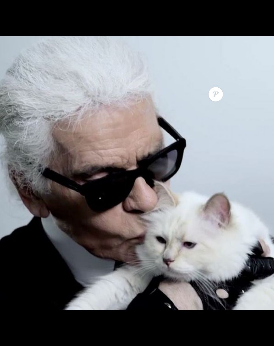 Karl Lagerfeld et sa chatte, Choupette.