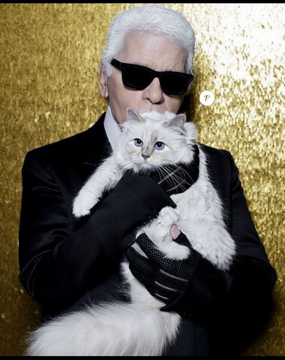 Karl Lagerfeld et sa chatte, Choupette.