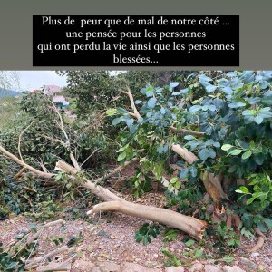 Alizée déplore les dégâts causés par la tempête dans son jardin.