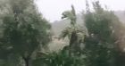 Alizée déplore les dégâts causés par la tempête dans son jardin.