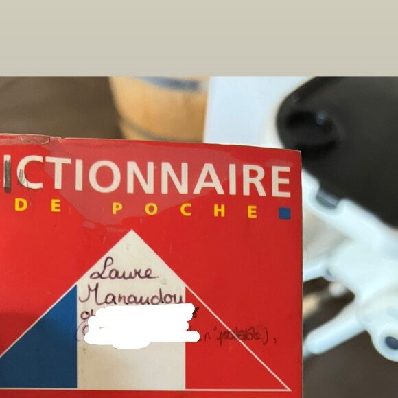 Laure Manaudou partage un sacré coup de vieux sur Instagram