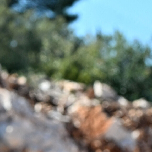 La princesse Charlène de Monaco devient présidente de la SPA, lors de l'annonce faite à l'occasion de la pose de la première pierre du futur refuge de la SPA de Peille, près du Mont Angel, France, le 12 septemb re 2022. La princesse Charlène de Monaco était accompagné du prince de Monaco et de M-A.de Massy, présidente de la Société Canine de Monaco. © Bruno Bebert/Bestimage