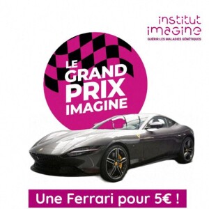 Du 12 septembre au 15 octobre tentez de remporter une Ferrari Roma du grand Prix Imagine (toutes les sommes seront reversées à l'institut Imagine pour changer la vie des familles touchées par les maladies génétiques - Le professeur S.Lyonnet, président de l'Institut des maladies génétiques, et le galériste K. Mennour ont organisé la 4ème édition de la soirée "Heroes for Imagine", une grande vente aux enchères d'oeuvres d'art, animée par G.Elmaleh et dirigée par Christie's, à l'institut Imagine, 24 boulevard du Montparnasse dans le 15ème arrondissement de Paris, France, le 12 septembre 2022. La vente aux enchères a rapporté plus de huit millions d'euros. "Grâce à HEROES, la recherche sur les maladies génétiques s'accélère, quels que soient les obstacles, au bénéfice des enfants malades et de leurs familles. Avec virtuosité et engagement, les chercheurs et les médecins de l'Institut Imagine, pratiquent la meilleure science d'aujourd'hui pour inventer la mailleure médecine de demain". © Dominique Jacovides/Bestimage 