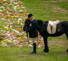 Emma, le poney de la reine Elizabeth II d'Angleterre - Arrivée du corbillard royal au château de Windso, le 19 septembre 2022. @ Aaron Chown/PA Wire