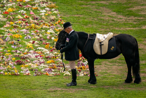 Emma, le poney de la reine Elizabeth II d'Angleterre - Arrivée du corbillard royal au château de Windso, le 19 septembre 2022. @ Aaron Chown/PA Wire