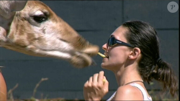 Adeline a une manière bien à elle de nourrir Sophie la girafe ! 