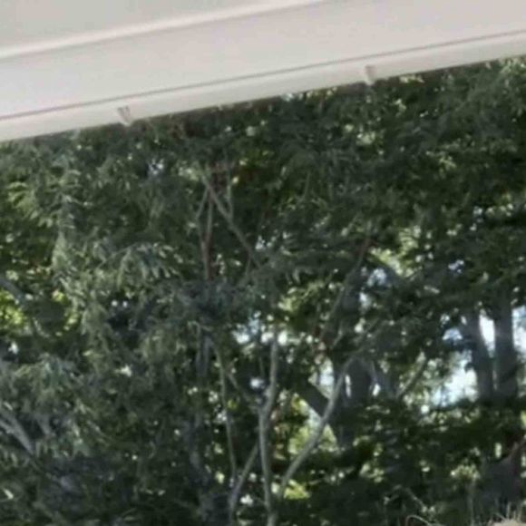 Alec Baldwin sur Instagram. 