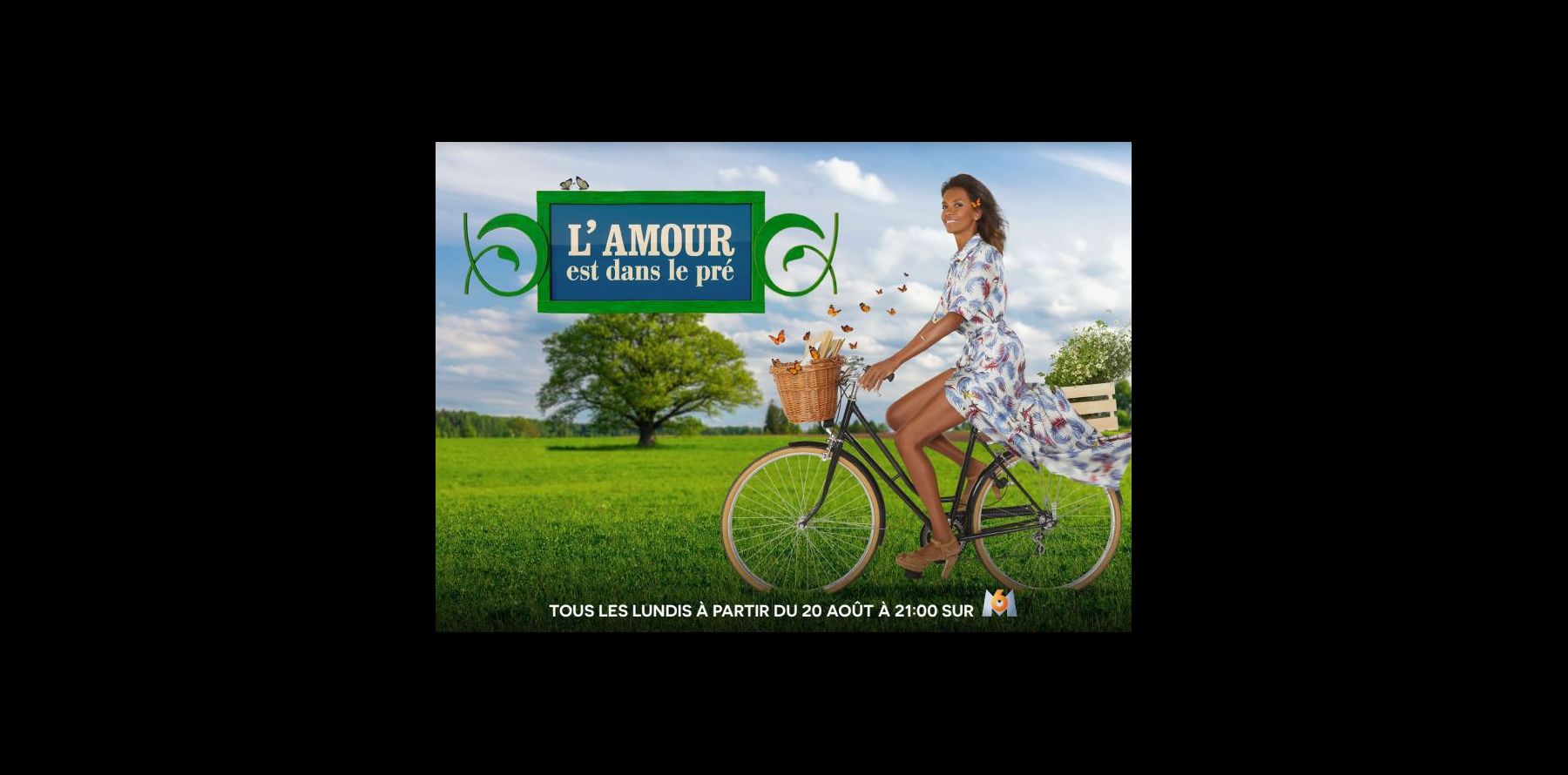 L Amour Est Dans Le Pré Avis L'amour est dans le pré : Ivre, un agriculteur frappe et menace des