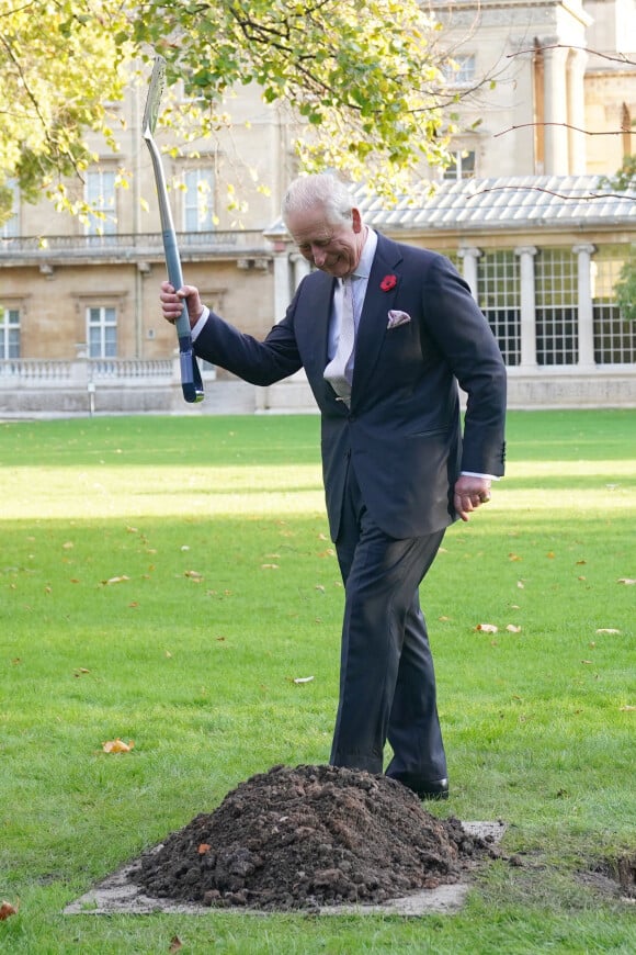 Le roi Charles III d'Angleterre plante un tilleul dans le jardin du palais de Buckingham, après la réception donnée en amont de la Cop 27. Le 4 novembre 2022.