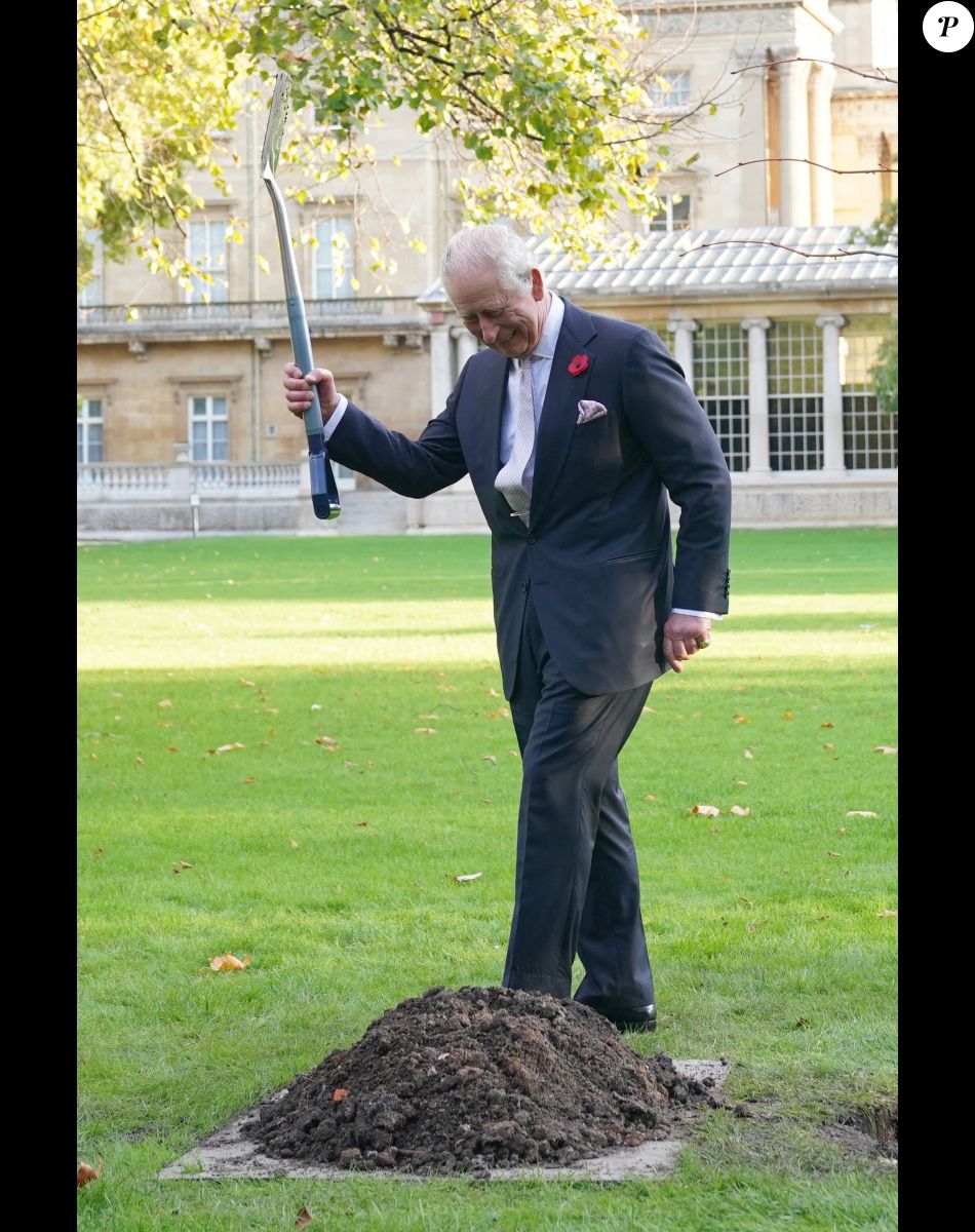 Le roi Charles III d'Angleterre plante un tilleul dans le jardin du palais de Buckingham, après la réception donnée en amont de la Cop 27. Le 4 novembre 2022.