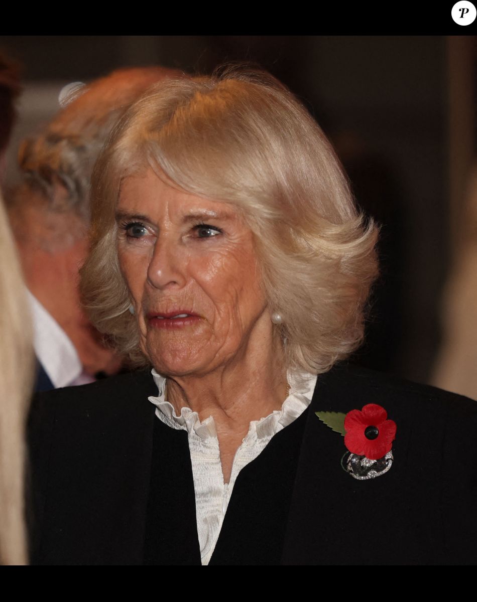 Camilla Parker Bowles, reine consort d'Angleterre, visite l'exposition Africa Fashion au Victoria and Albert Museum à Londres, le 3 novembre 2022. L'exposition célèbre la créativité, l'ingéniosité et l'impact mondial de la mode africaine.