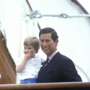 Le prince Charles, prince de Galles devenu le roi Charles III d'Angleterre, sa femme Lady Diana et leurs enfants Harry et William en 1985.