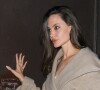 Exclusif - Angelina Jolie a dîné au restaurant végétalien Crossroads à Los Angeles le 20 novembre 2022.