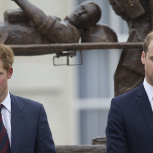 Les Princes Harry et William ouvrent le centre "Help for Heroes Recovery" a Tidworth, le 20 mai 2013. 