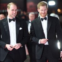 Prince Harry, le "suppléant" : né pour "donner un organe" à William ? Ce rôle qu'il a eu du mal à vivre