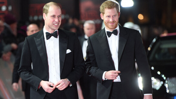 Prince Harry, le "suppléant" : né pour "donner un organe" à William ? Ce rôle qu'il a eu du mal à vivre