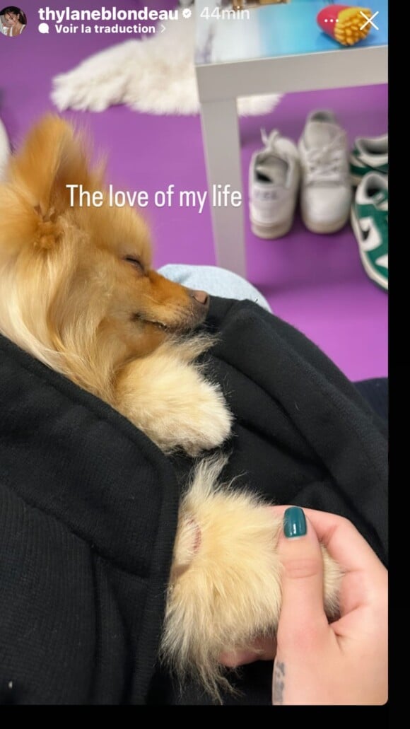 Veronika Loubry a donné des nouvelles du chien de sa fille Thylane. @ Instagram / Veronika Loubry