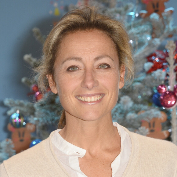 Anne-Sophie Lapix - Lancement du Noël de Disneyland Paris avec une nouvelle parade sur le thème "Les Nouvelles Princesses" à Marne-la-Vallée, le 15 novembre 2014.